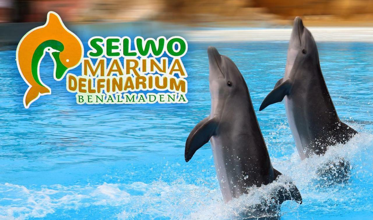 Apartamento Acuario Benalmadena Bagian luar foto